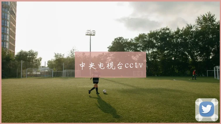 中央电视台cctv