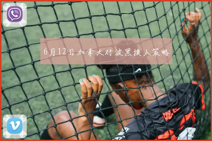 6月12日加拿大对波黑换人策略