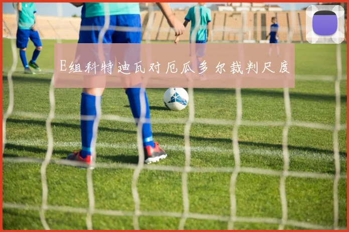 E组科特迪瓦对厄瓜多尔裁判尺度
