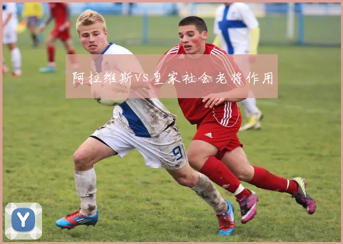 阿拉维斯vs皇家社会老将作用